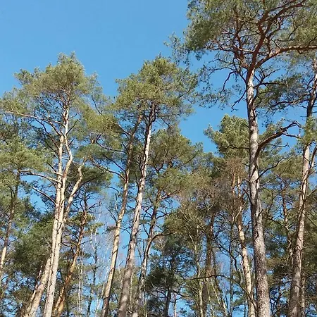 Lubie Morze アパート