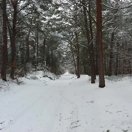 Lubie Morze ヤンタル