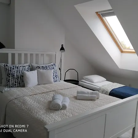 Lubie Morze ヤンタル