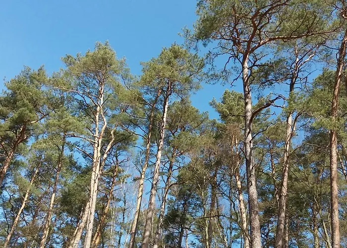 Lubie Morze Apartament